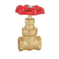 Gate valves from plumbing supply